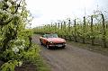 MG Bloesemrit op 24-4-2016 org. Jos&Marie-lou  (46)